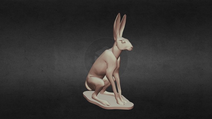 Hare 3D Model