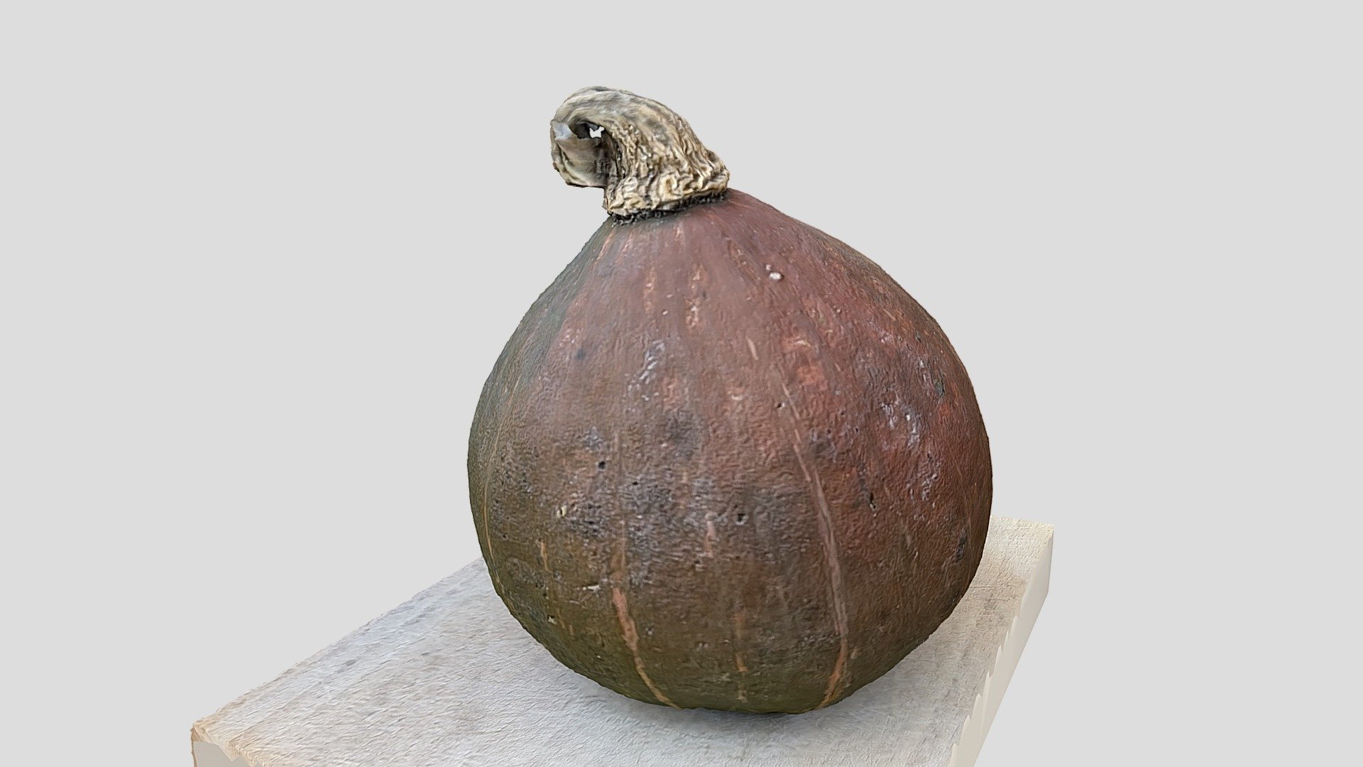 Pumpkin