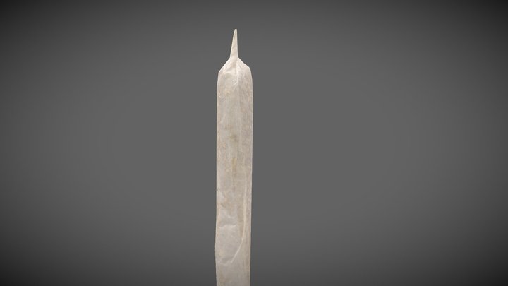Joint scan 3D Model