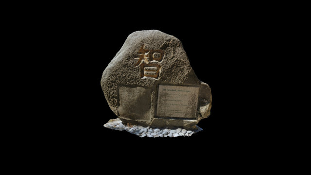 Wisdom Stone 3D Model