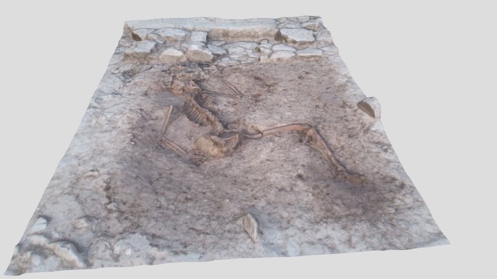 Remains of a body 3D Model