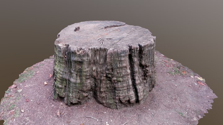 Yet another stump 3D Model