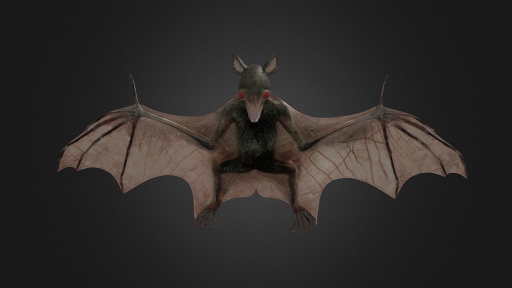 Bat | Kelelawar