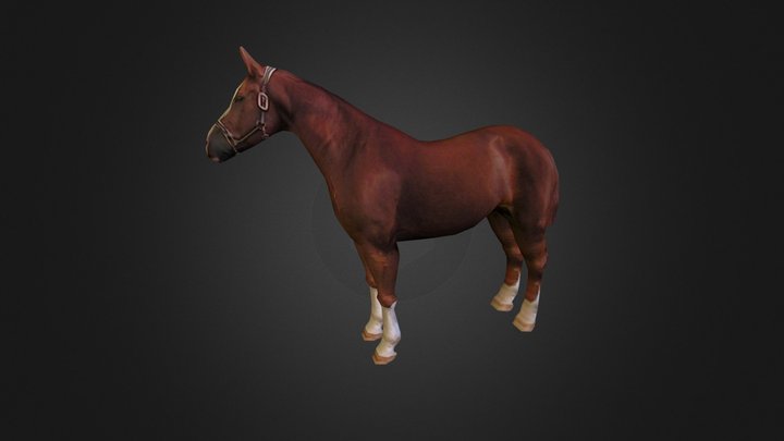 Horse 3D Model