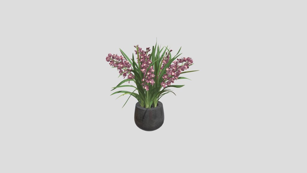 Pink Orchid Arrangement