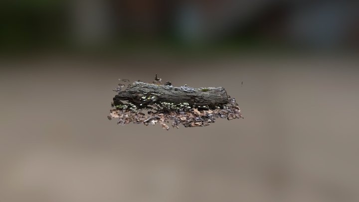 3D Scans - Log (2-22-17) 3D Model