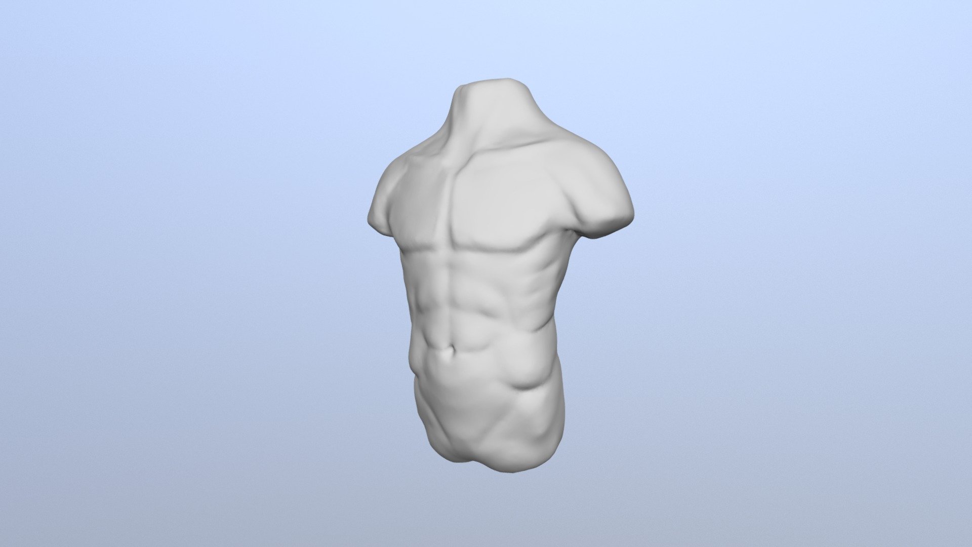 Day 19 - Male Torso