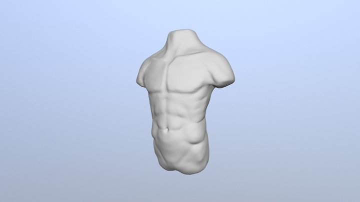 Day 19 - Male Torso 3D Model