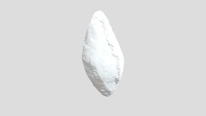 Fusulinid Foraminifera 3D Model