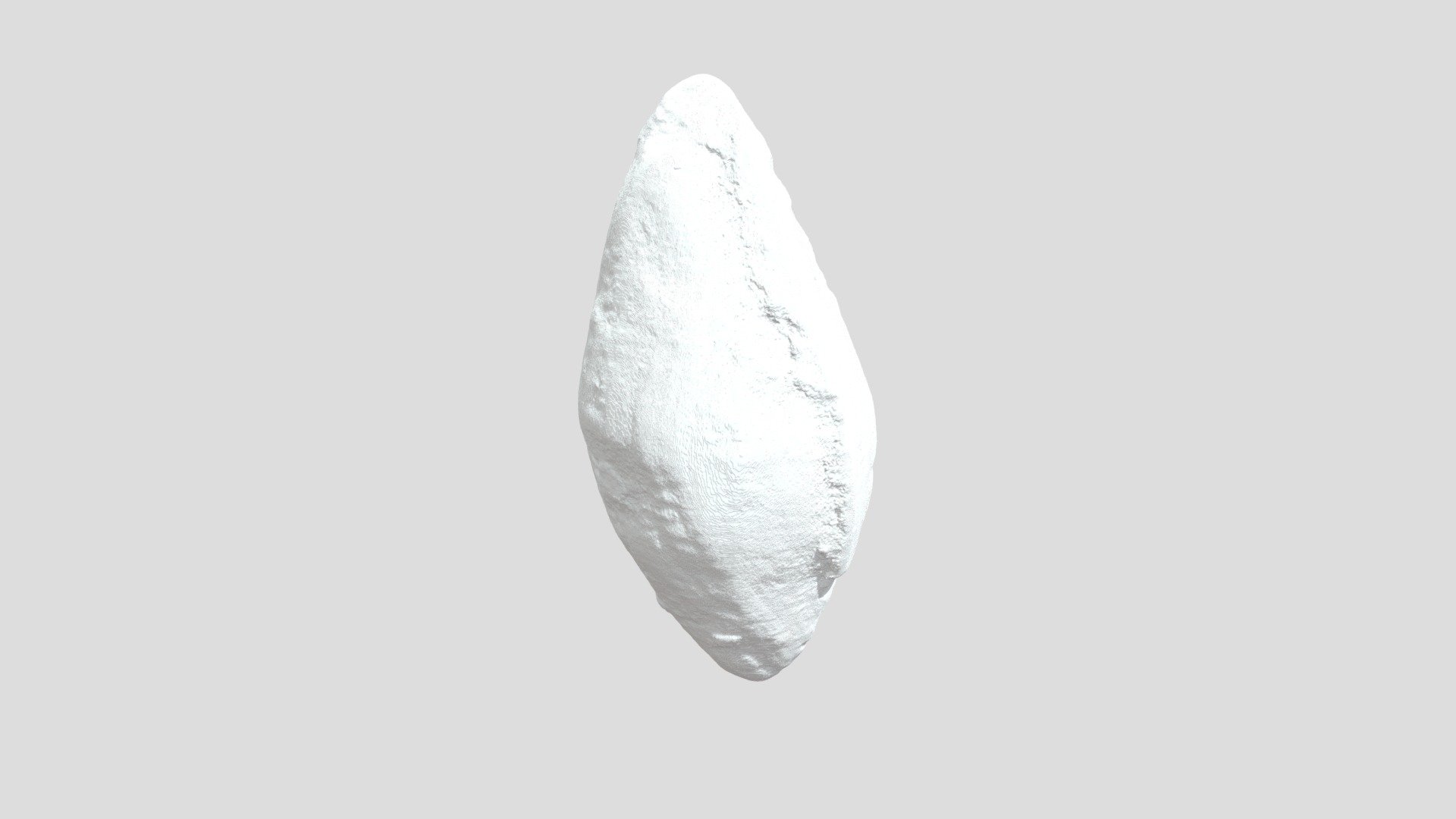 Fusulinid Foraminifera