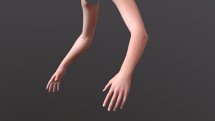 Arms (Female/Lowpoly) 3D Model