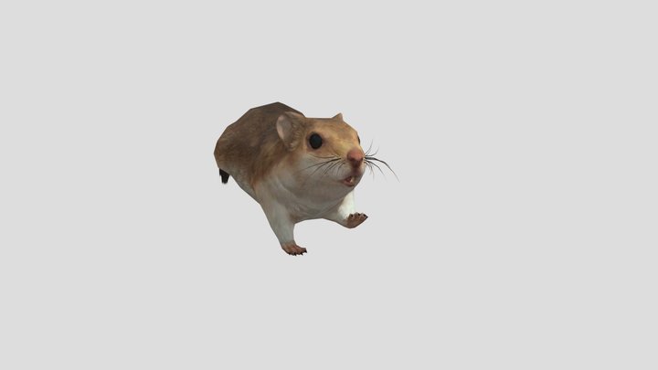 Sand Mouse