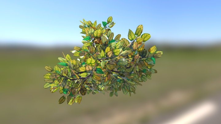 Stylized Foliage 3D Model