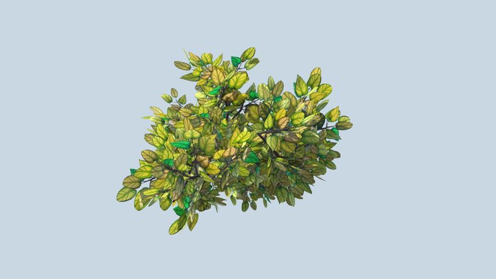 Stylized Foliage 3D Model