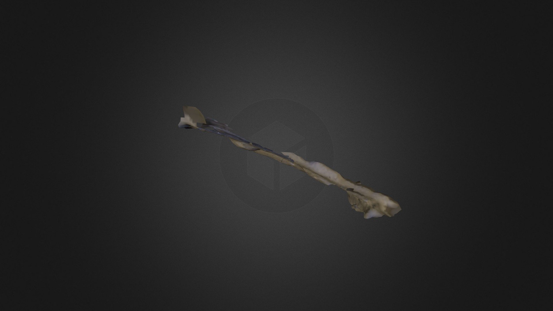 Vegueta 3D