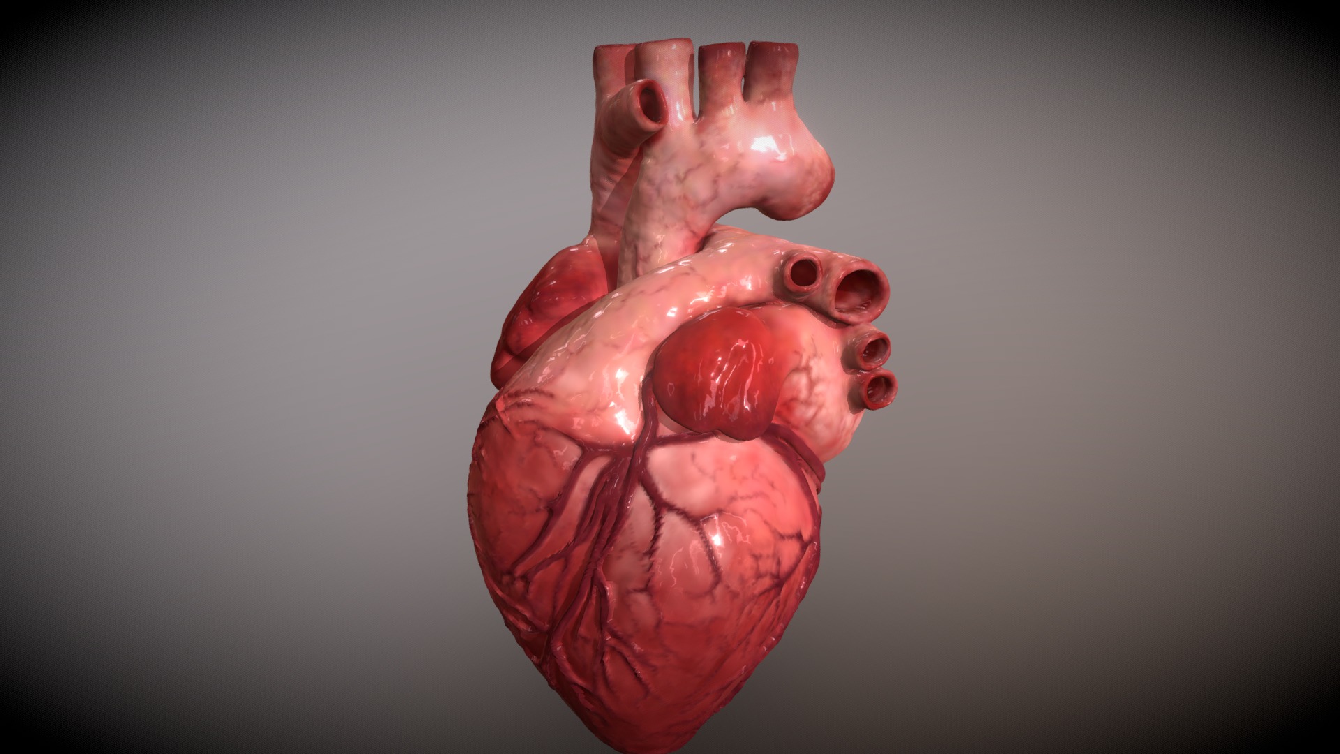 3D model Heart - This is a 3D model of the Heart. The 3D model is about a red plastic toy.