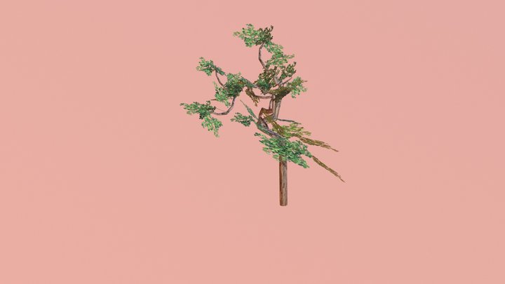 a Boom 3D Model