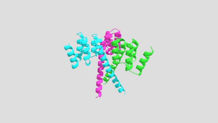 basic 3D Model