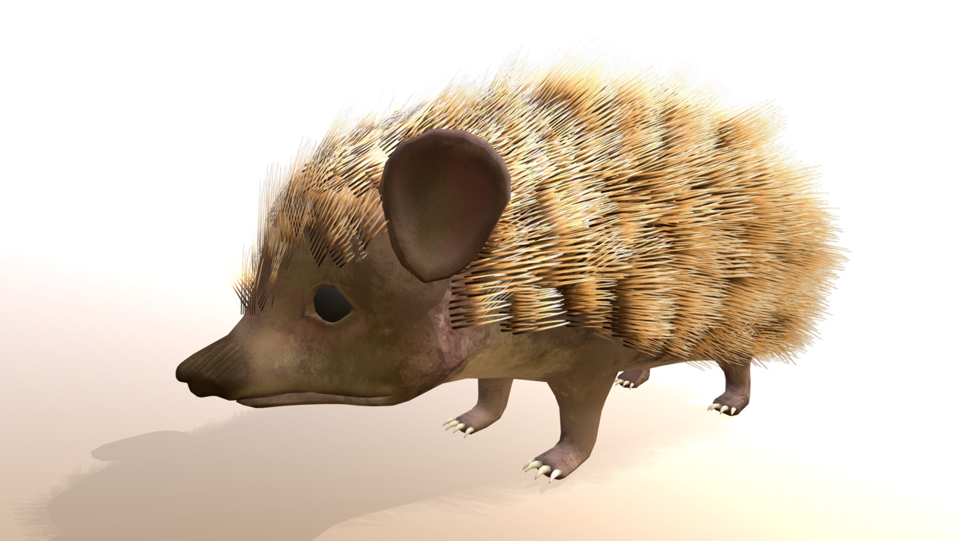 Hedgehog001 - 3D model by 00:01AM Studio (@colonteamstudio) [01b6939 ...