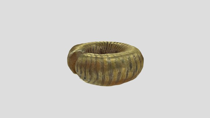 Wmid-caf4eb - Bronze Age Penannular ring 3D Model
