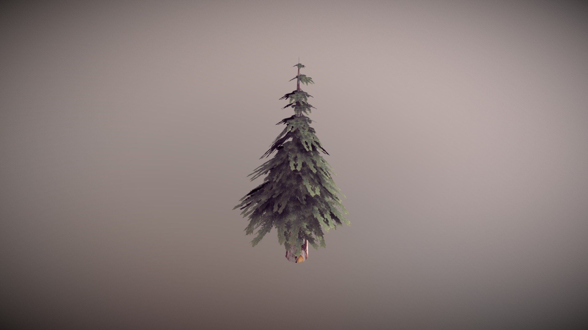 tree test - 3D model by grindboots (@ziwrath) [01b8be5] - Sketchfab
