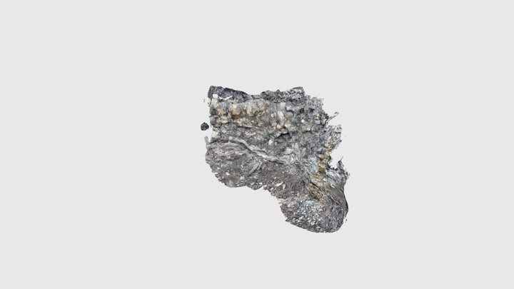 Craignagat Member (SW quarry) 3D Model