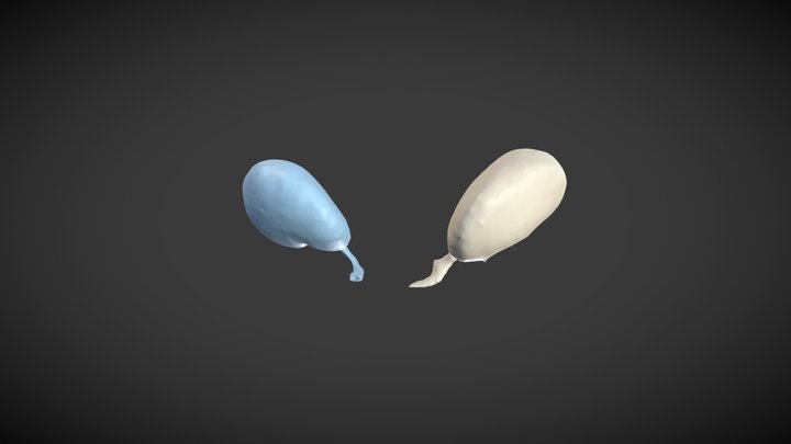 Kidney Segmentation 3D Model