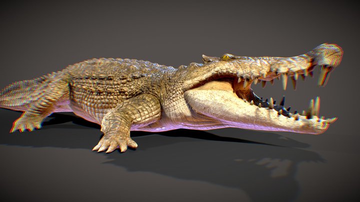 Kaprosuchus (For animation) 3D Model