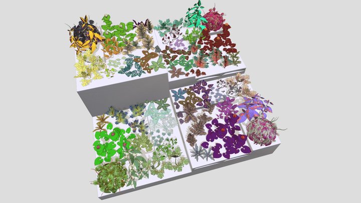 Splash of Color - Unique Photogrammetry Plants 3 3D Model