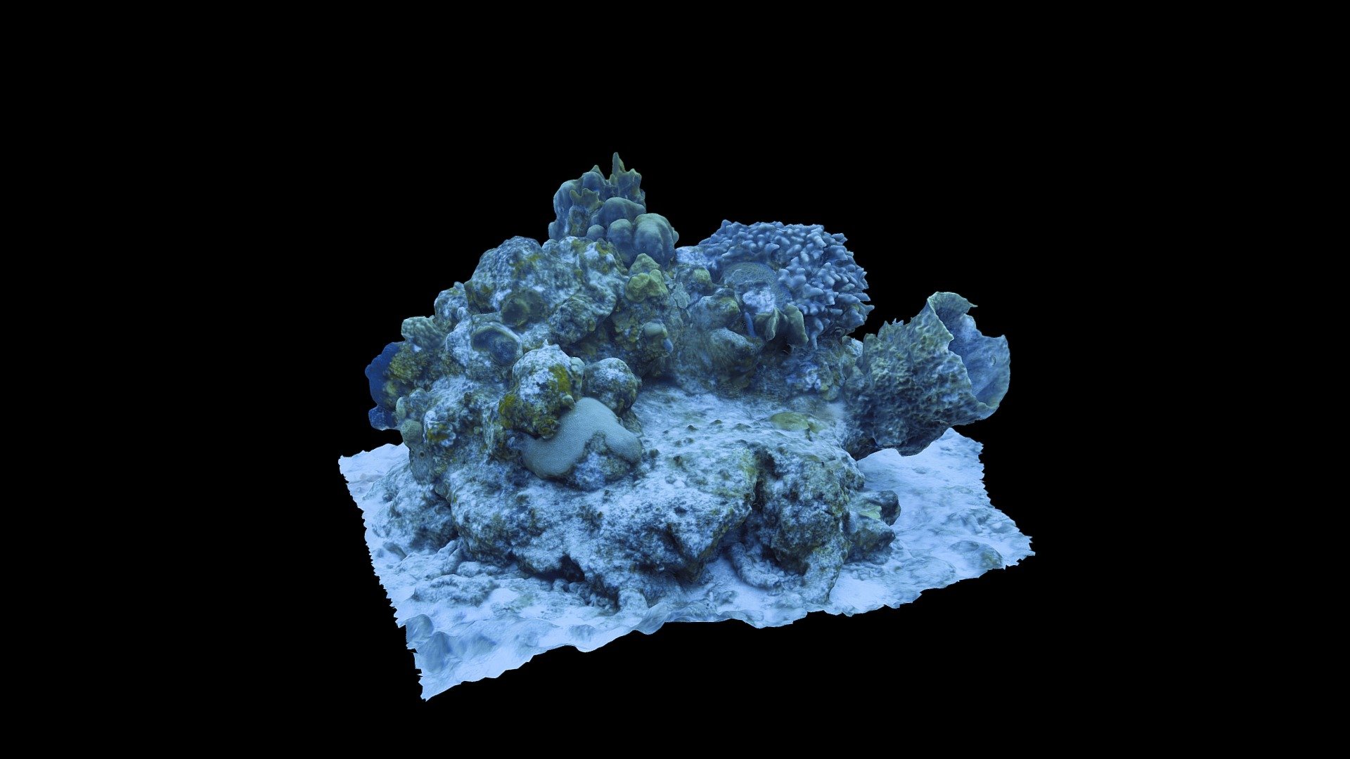 Isla - 3D model by Glubel (@3DMarineFund) [01c17ba] - Sketchfab