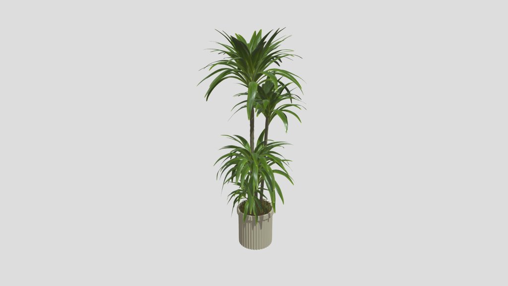 Plant 3 From Vip Collection