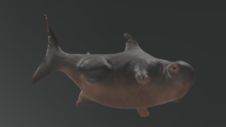 Salty the Seadog 3D Model