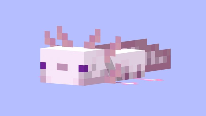 Minecraft Axolotl 3D Model
