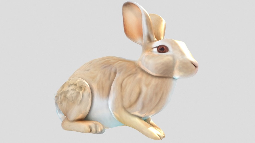 ?Rabbit⛧X⛧∞Earl∞?