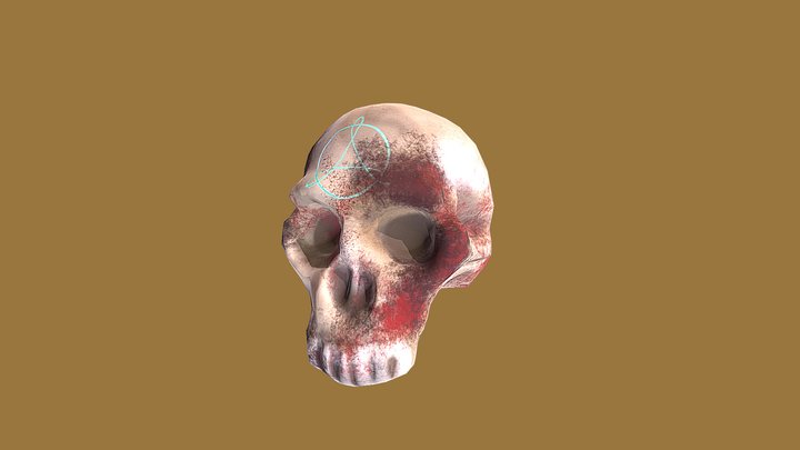 Skull 2020-2021 3D Model
