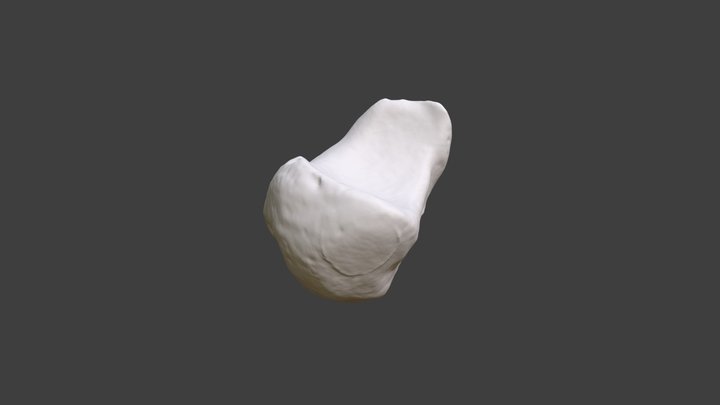 Right Lunate 3D Model