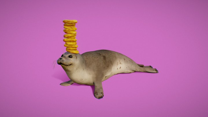 Bagel Seal 3D Model