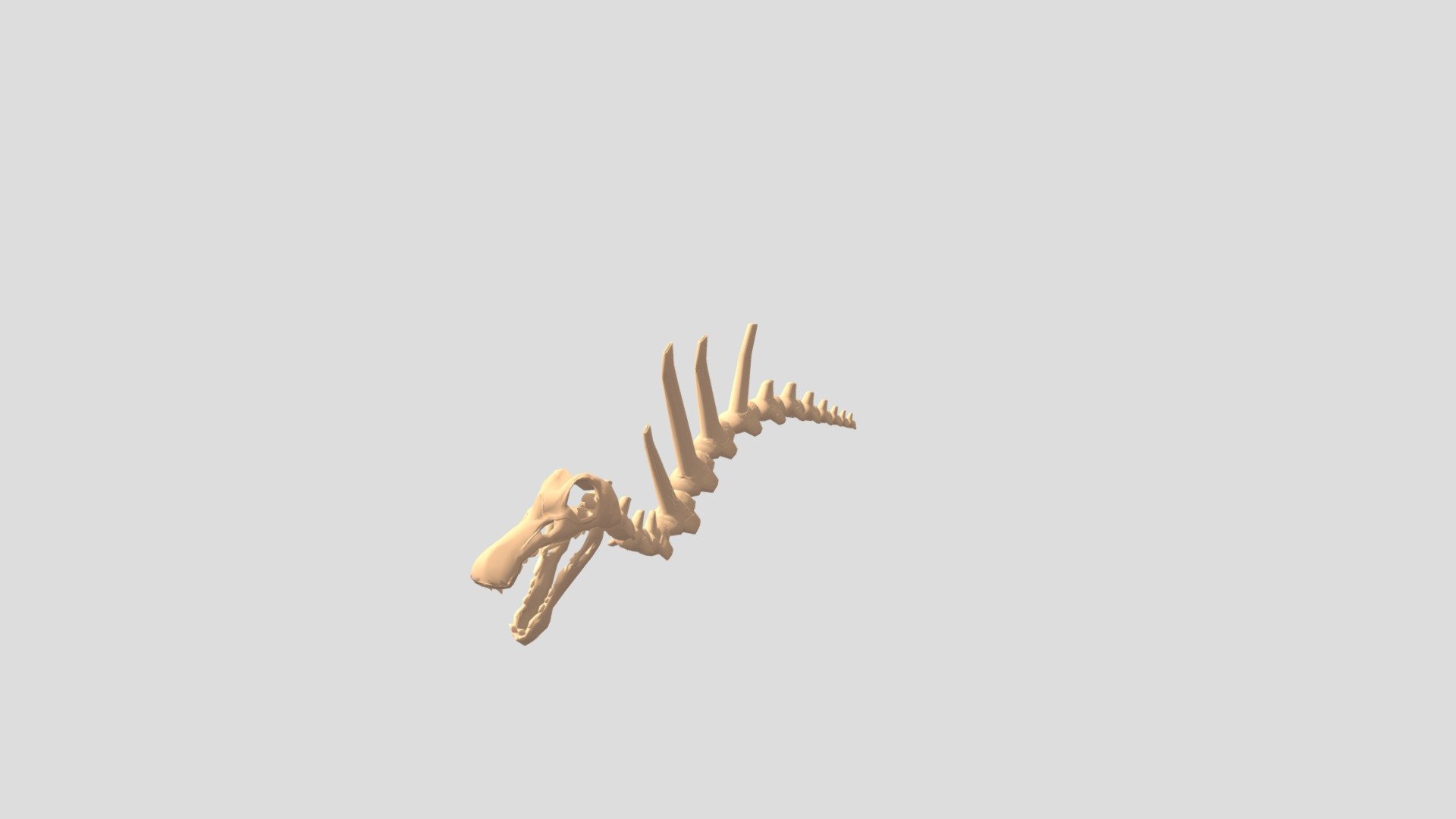 Low Poly spinosaurus display.