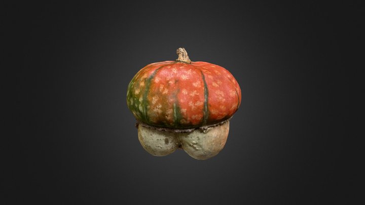 Pumpkin with a booty 3D Model