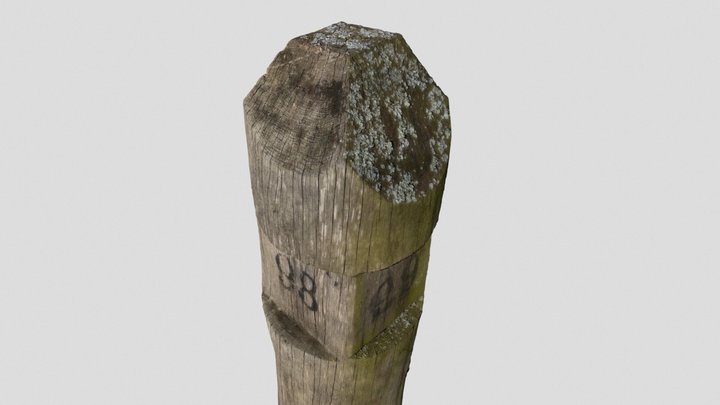 An ordinary pole in the forest. 3D Scan 3D Model