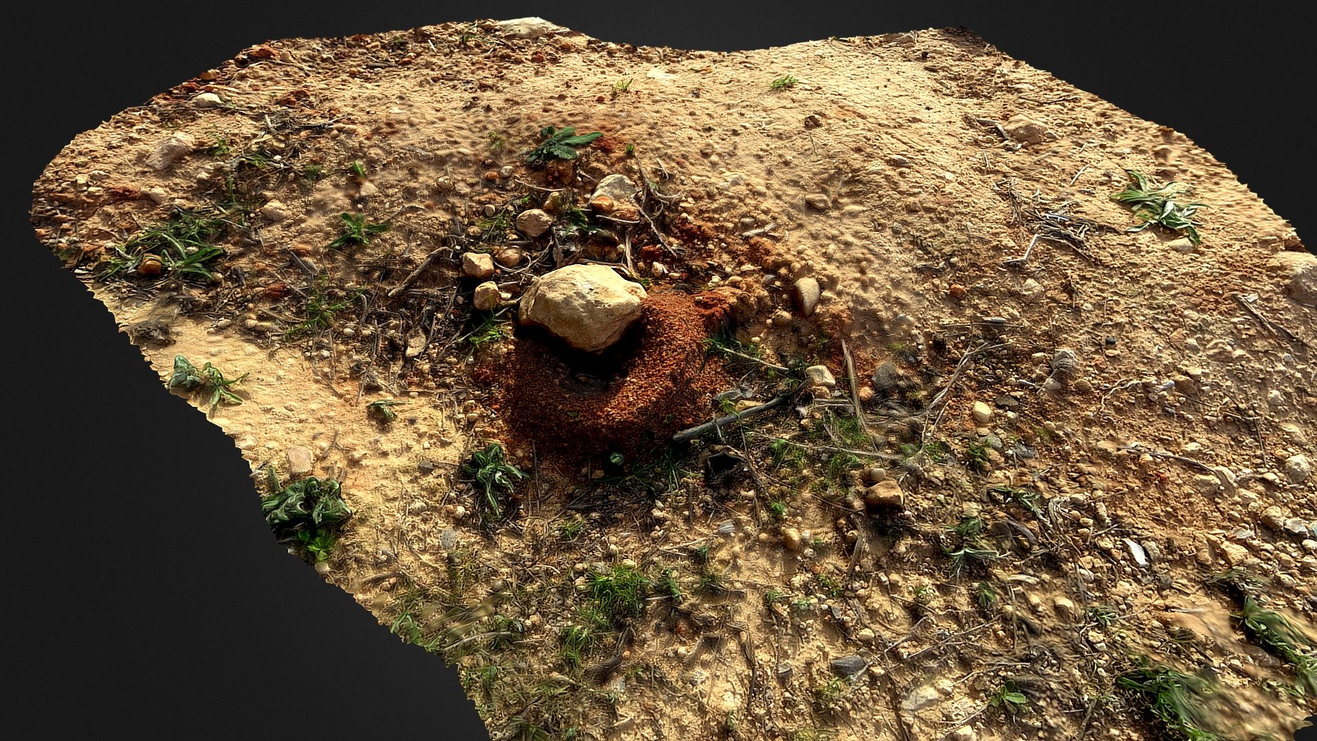 Anthill (Hormiguero)