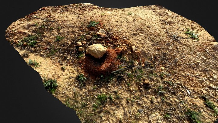 Anthill (Hormiguero) 3D Model