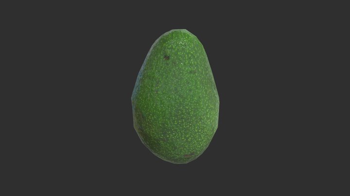 Avocado LP 3D Model
