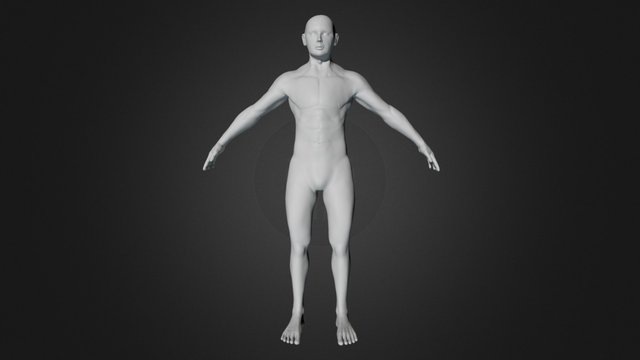 Male Sculpt 3D Model