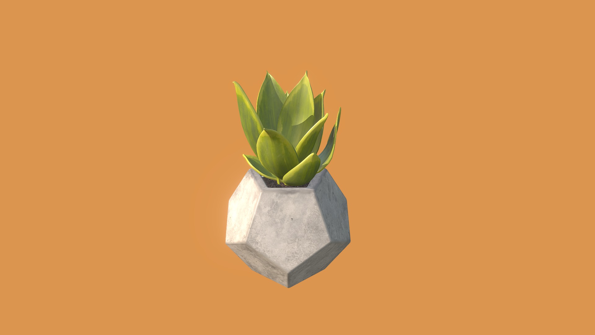 3D model Dodekaeder Cactus - This is a 3D model of the Dodekaeder Cactus. The 3D model is about a plant in a pot.