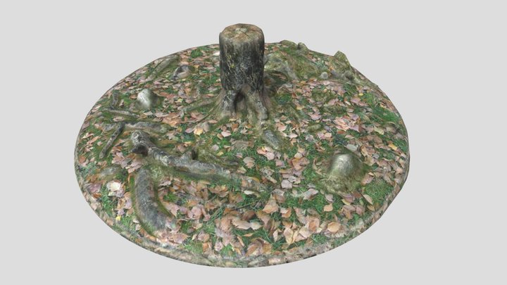 Stump-Test-Diorama-Sculp