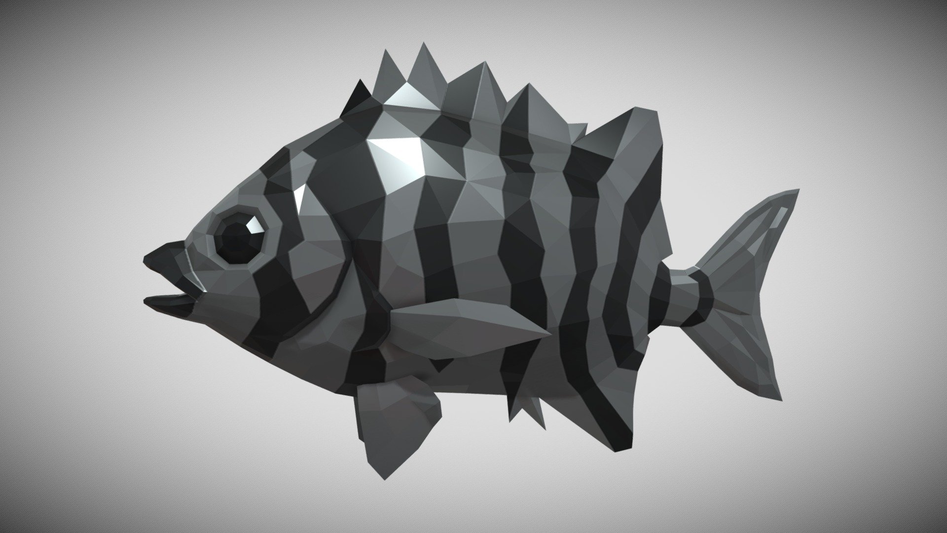 [Low Poly] StoneSeabream - Buy Royalty Free 3D model by Jiffycrew ...