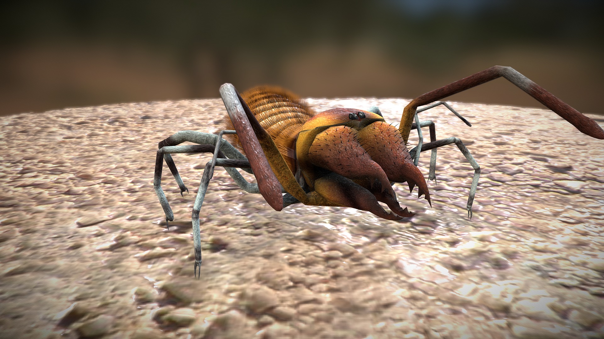 3D model Sun Spider - This is a 3D model of the Sun Spider. The 3D model is about a bug on a rock.
