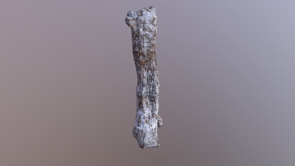 LOG_UE4