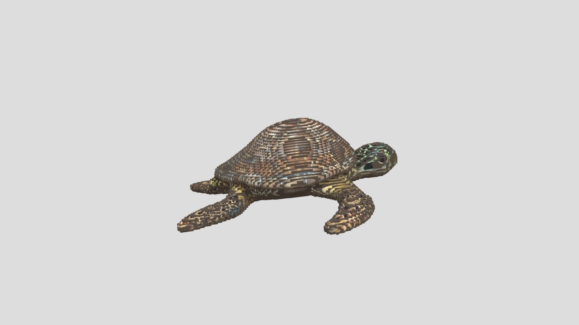DTS4.2_CUINDA_Y1_Jane_J02_turtle